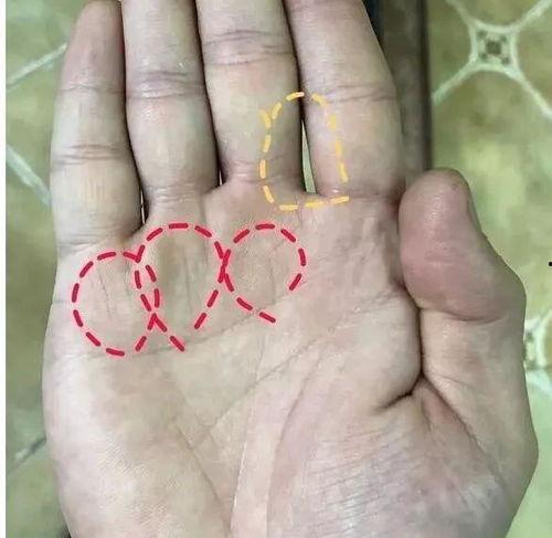 手相视频财,财生成势，财运亨通的秘密解析