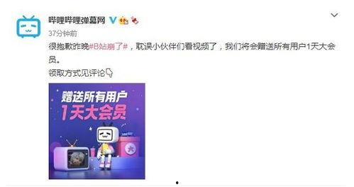 b站大会员视频,深度解析热门内容背后的故事