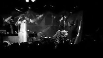 日本ooxx视频,激情背后的人生百态